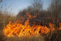 Юг Украины накроет чрезвычайная пожарная опасность