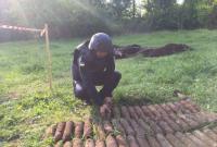 Сотни мин и снарядов обнаружили в парковой зоне в Винницкой области