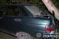 На Вінниччині п'яна жінка збила чотирьох дітей: один у комі (фото)