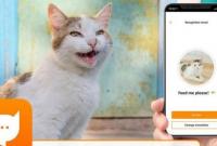 MeowTalk: бывший разработчик Alexa представил приложение для перевода кошачьего мяуканья