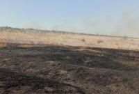 В Николаевской области снова горит заповедник "Еланецкая степь"