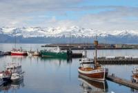 Без тестов и карантина. Исландия с 18 марта разрешит въезд в страну вакцинированным от COVID-19 туристам