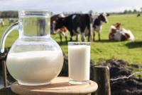 Виробництво молока в Україні знову знизилося
