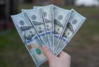Украинцы в январе продолжали скупать валюту