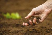 В Україні деградація ґрунтів швидко набирає обертів