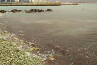 В России море изменило свой цвет в кровавый (видео) В России море изменило свой цвет в кровавый (видео)