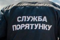 Собака испугалась фейерверков на Новый год и прыгнула в 26-метровый колодец